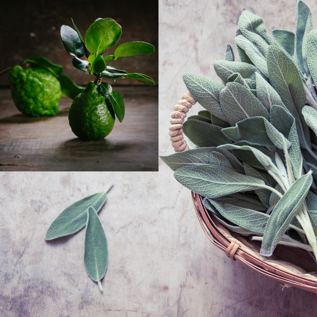 Bergamot Clary Sage Fragrance Oil Soap Candle Supplies