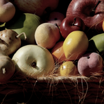 Fall Harvest Fragrance Oil
