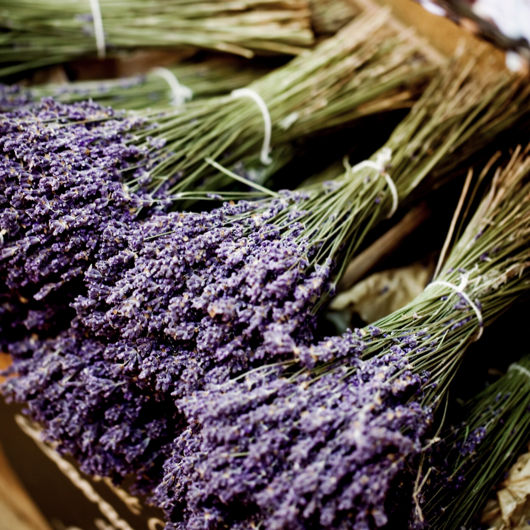 French Lavender Fragrance Oil