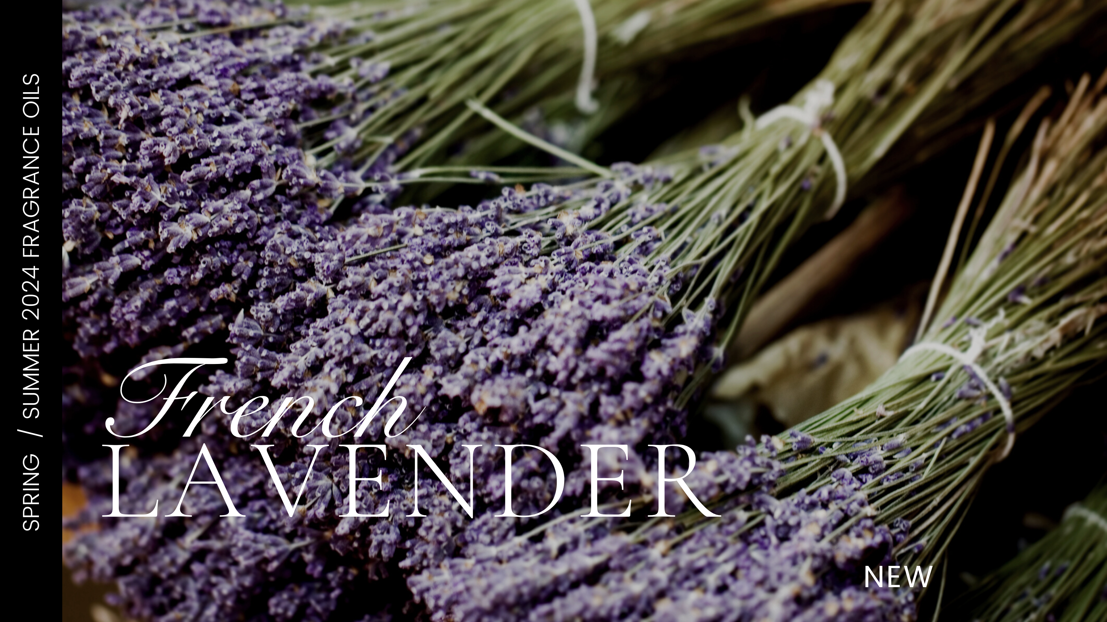 NEW-FRENCH-LAVENDER-FO-BANNER