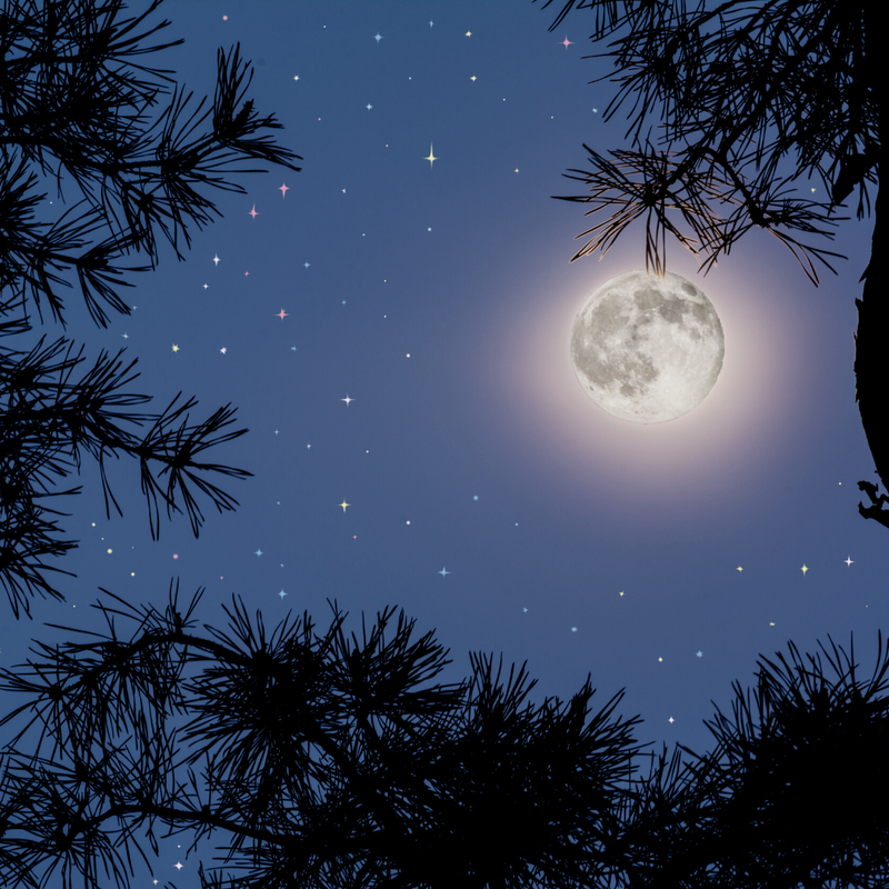SWEET-MOON-FRAGRANCE-OIL