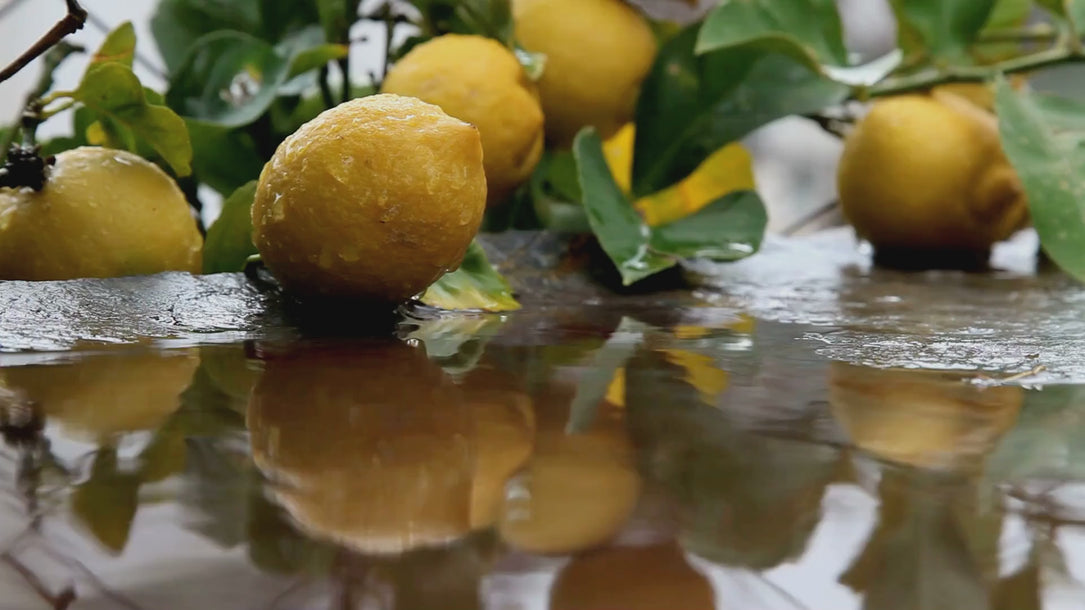 Velvet Figs & Amber fragrance oil notes.