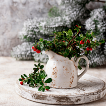 Cranberry Sandalwood Fragrance Oil